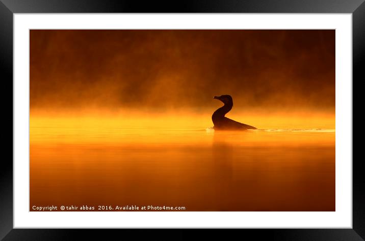 A golden lake Framed Mounted Print by tahir abbas