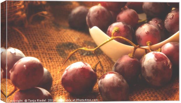Grapes on Jute  Canvas Print by Tanja Riedel