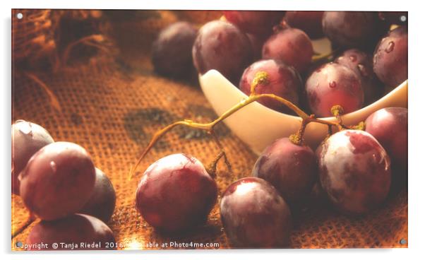 Grapes on Jute  Acrylic by Tanja Riedel
