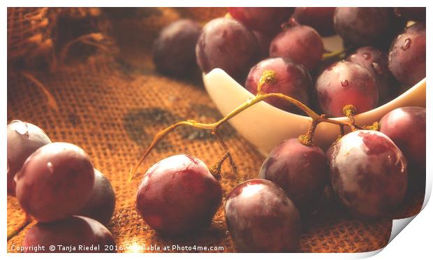 Grapes on Jute  Print by Tanja Riedel