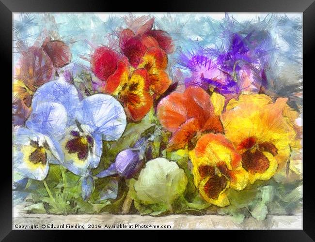 Flower Box Full of Pansy Pencil Framed Print by Edward Fielding