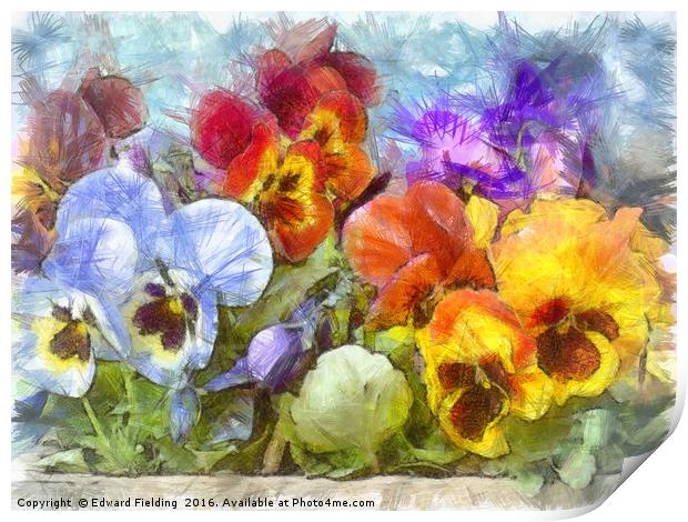 Flower Box Full of Pansy Pencil Print by Edward Fielding