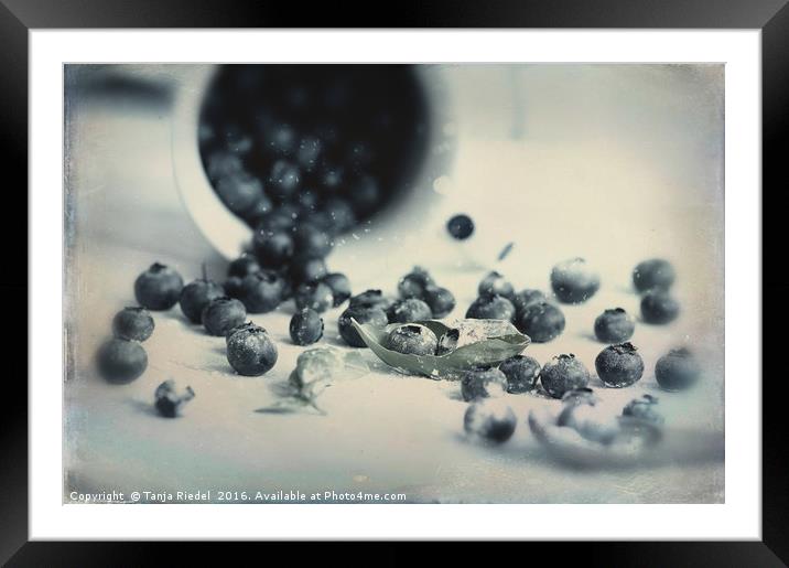 Blueberries in Design Framed Mounted Print by Tanja Riedel