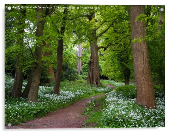 Woodland Path through a Carpet of Wild Garlic Acrylic by Elizabeth Debenham