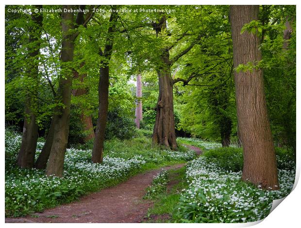 Woodland Path through a Carpet of Wild Garlic Print by Elizabeth Debenham