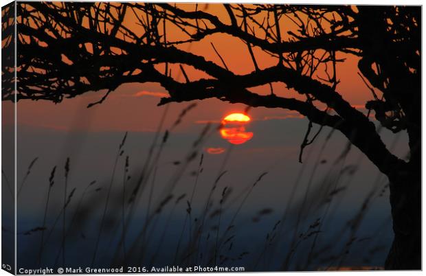 Tranquil Sunset Silhouette Canvas Print by Mark Greenwood