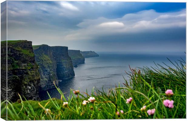 Cliffs of Moher, Ireland Canvas Print by Mark Llewellyn