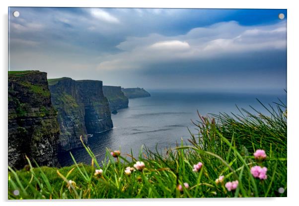 Cliffs of Moher, Ireland Acrylic by Mark Llewellyn