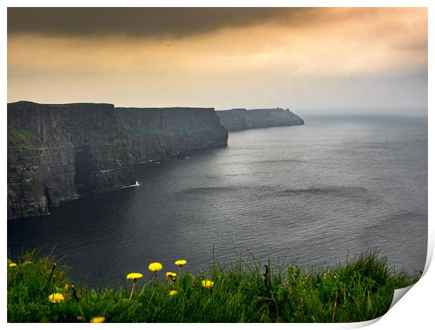 Cliffs of Moher, Ireland Print by Mark Llewellyn