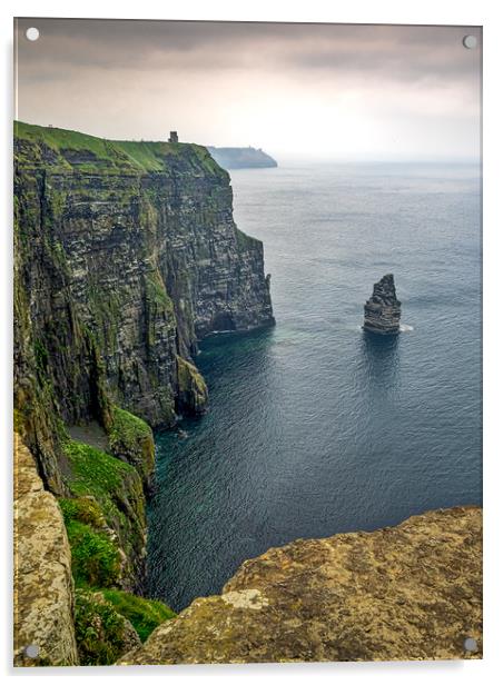 Cliffs of Moher, Ireland Acrylic by Mark Llewellyn