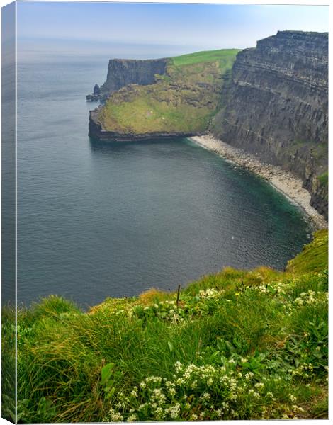 Cliffs of Moher, Ireland Canvas Print by Mark Llewellyn