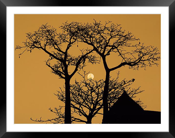 Sunset Gambia Framed Mounted Print by David (Dai) Meacham