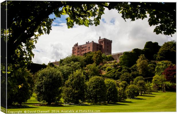 Powis Castle  Canvas Print by David Chennell