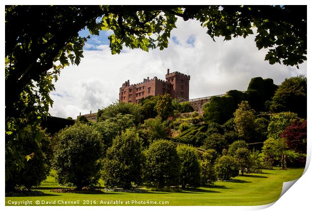 Powis Castle  Print by David Chennell
