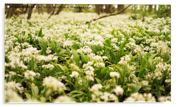 Wild Garlic in Spring Acrylic by Debbie Cox