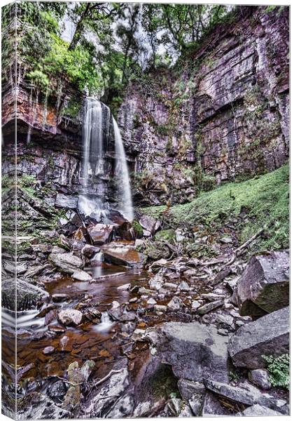 Melincourt Falls Canvas Print by Steve Purnell