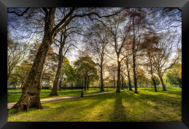 Green Park London Framed Print by David Pyatt