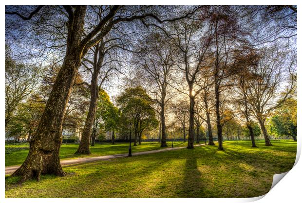 Green Park London Print by David Pyatt