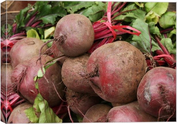 Beet in the market Canvas Print by Igor Krylov