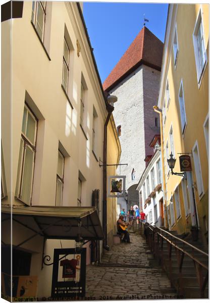 Medieval Street, Old Town, Tallinn, Estonia Canvas Print by Carole-Anne Fooks