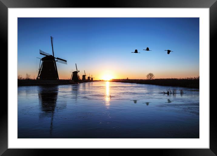 Heron flying over the frozen Kinderdijk Sunrise Framed Mounted Print by Ankor Light