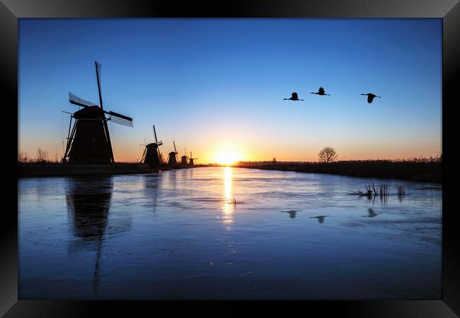 Heron flying over the frozen Kinderdijk Sunrise Framed Print by Ankor Light