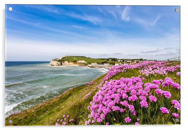 Sea Of Pink Thrift Acrylic by Wight Landscapes