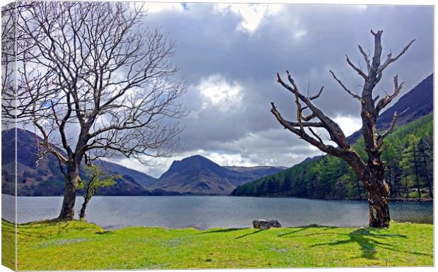               BUTTERMERE                  Canvas Print by Anthony Kellaway