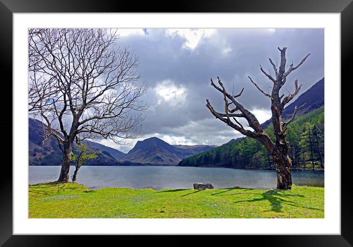               BUTTERMERE                  Framed Mounted Print by Anthony Kellaway