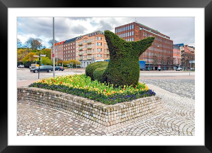 Helsingborg Hedge Slug. Framed Mounted Print by Antony McAulay