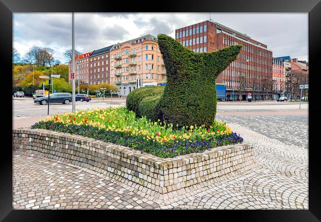 Helsingborg Hedge Slug. Framed Print by Antony McAulay