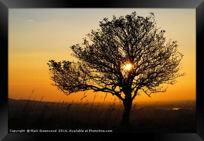 Tranquil Hazy Sunset Framed Print by Mark Greenwood