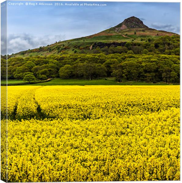 Roseberry Topping  Canvas Print by Reg K Atkinson