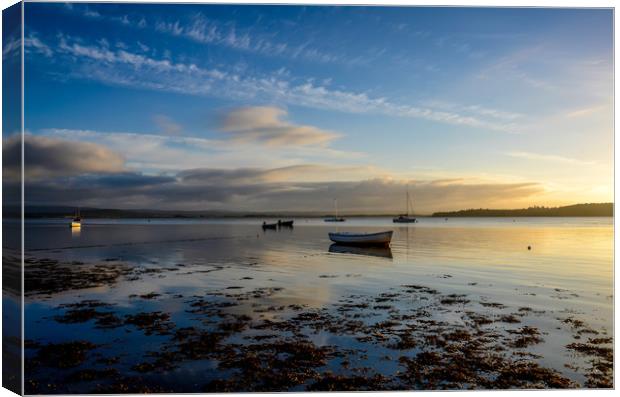 Findhorn Bay Sunset             Canvas Print by Tony Bishop