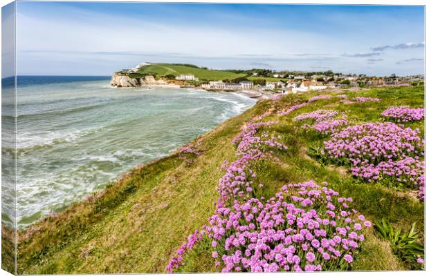 Freshwater Bay Thrift Canvas Print by Wight Landscapes