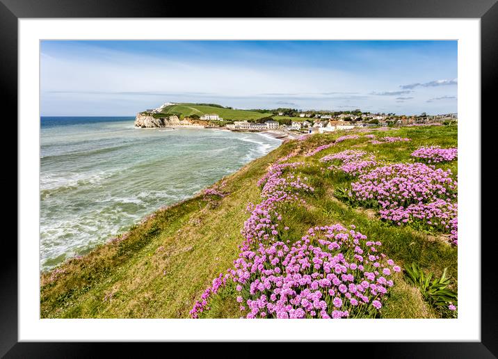 Freshwater Bay Thrift Framed Mounted Print by Wight Landscapes