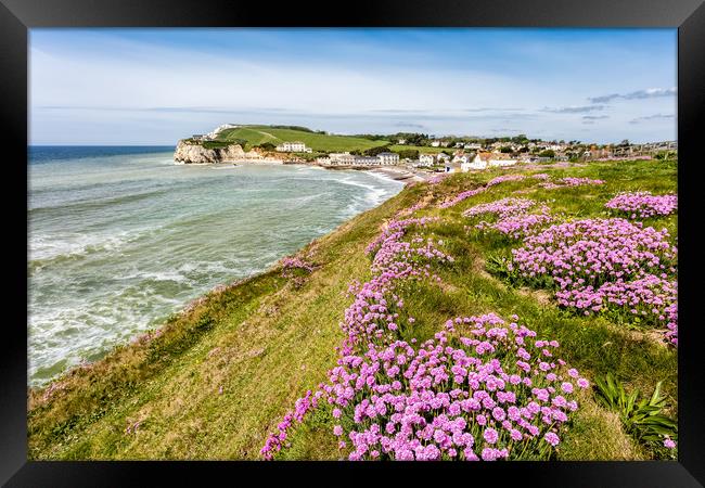 Freshwater Bay Thrift Framed Print by Wight Landscapes