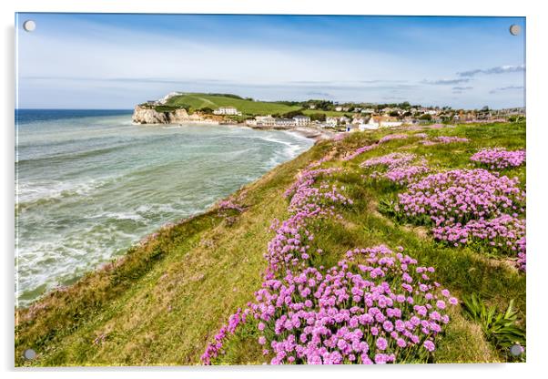 Freshwater Bay Thrift Acrylic by Wight Landscapes