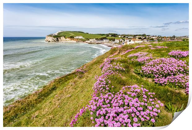 Freshwater Bay Thrift Print by Wight Landscapes