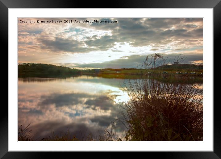 Herrington Country Park Framed Mounted Print by andrew blakey