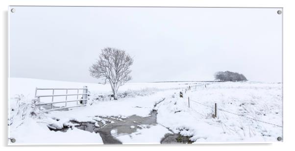 Yorkshire Snowfall  Acrylic by chris smith
