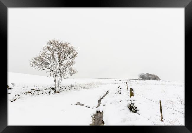 Whiteout  Framed Print by chris smith