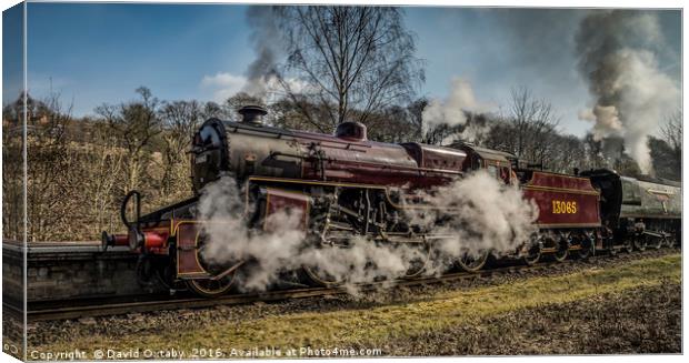 13065 at Summerseat Canvas Print by David Oxtaby  ARPS