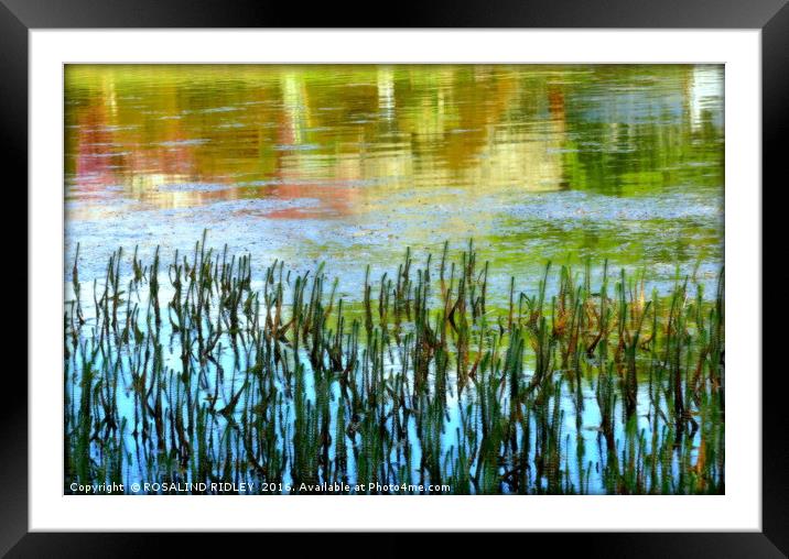 "SUNNY REFLECTIONS IN THE LAKE" Framed Mounted Print by ROS RIDLEY