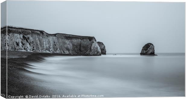 Freshwater Bay Canvas Print by David Oxtaby  ARPS