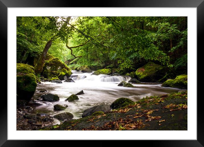 Stream in summer forest. Framed Mounted Print by Sergey Fedoskin