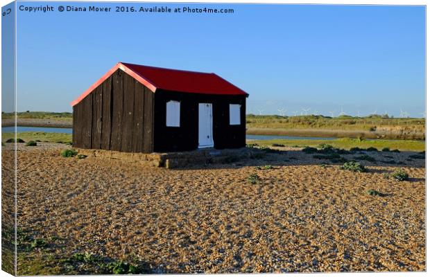 Rye Harbour Canvas Print by Diana Mower