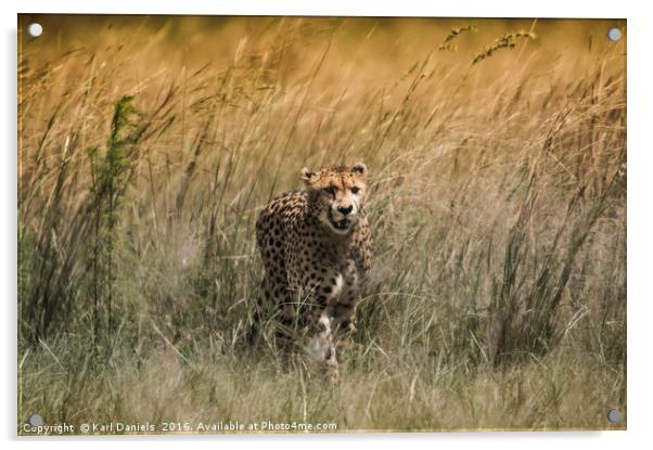 Cheetah Acrylic by Karl Daniels