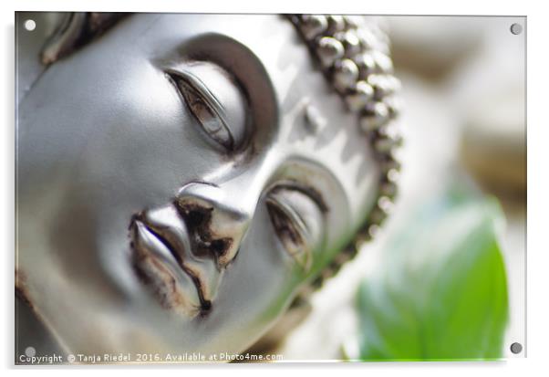 Buddha head Acrylic by Tanja Riedel