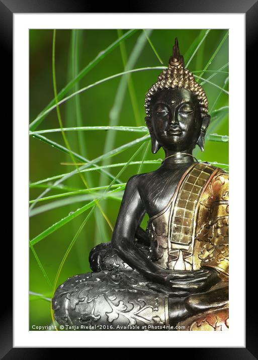 Buddha Feeling Framed Mounted Print by Tanja Riedel